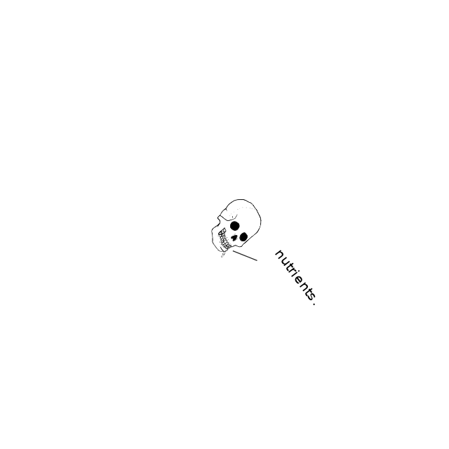 Dem bones dem bones dem – dry bones!