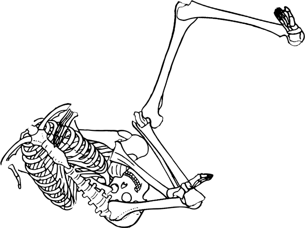 Dem bones dem bones dem – dry bones!