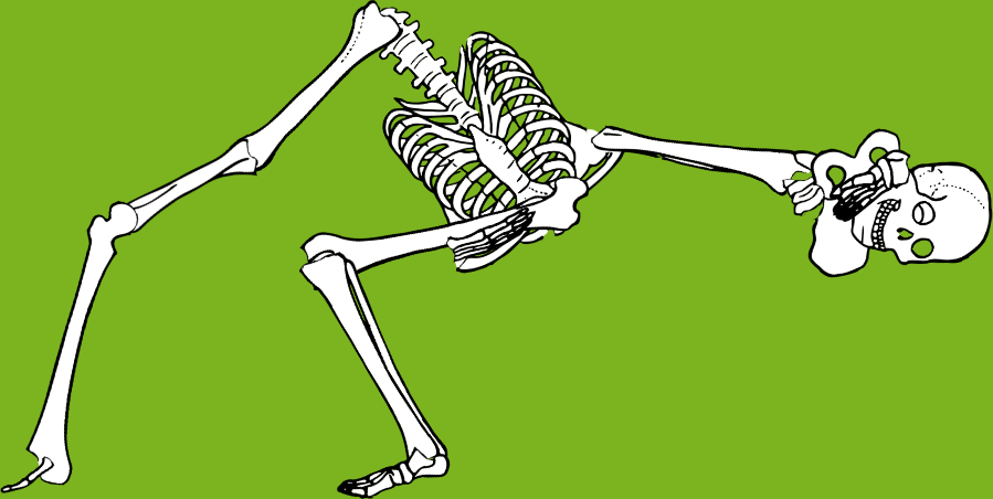 Dem bones dem bones dem – dry bones!