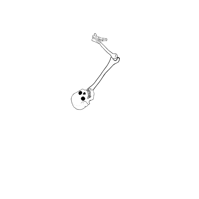 Dem bones dem bones dem – dry bones!
