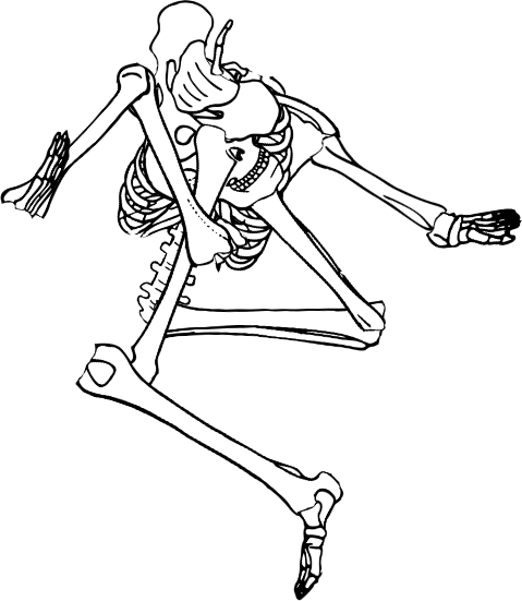 Dem bones dem bones dem – dry bones! Dem bones dem bones dem – extra bones!