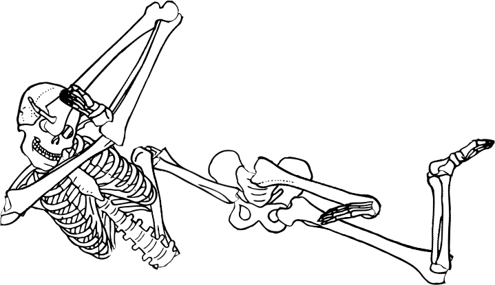 Dem bones dem bones dem – dry bones!
