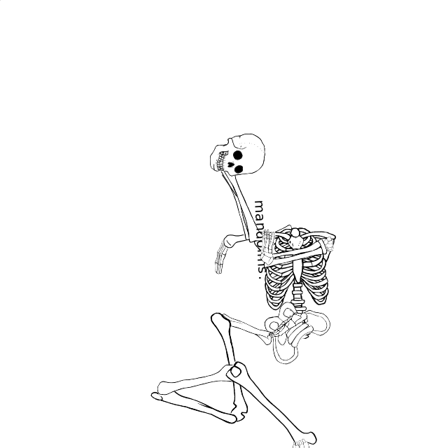 Dem bones dem bones dem – dry bones!