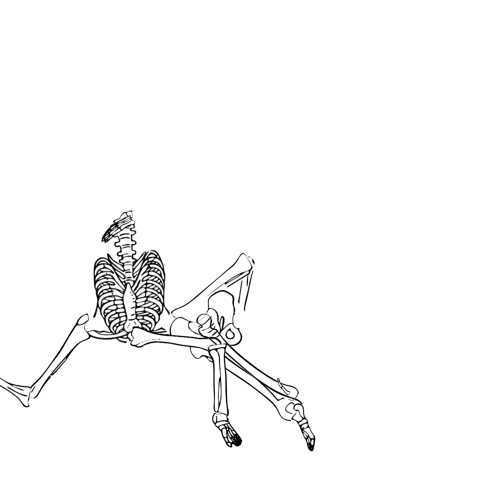 Dem bones dem bones dem – dry bones!