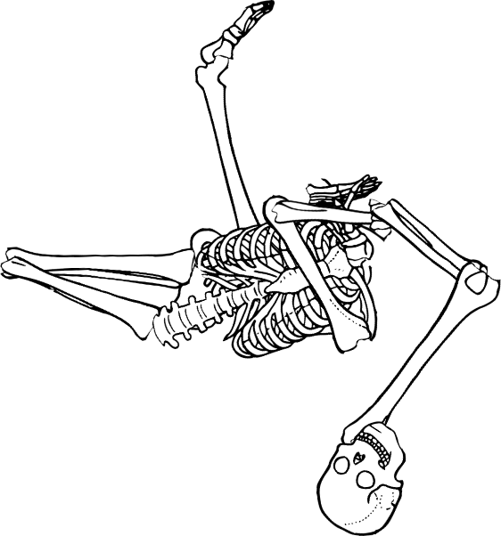 Dem bones dem bones dem – dry bones!