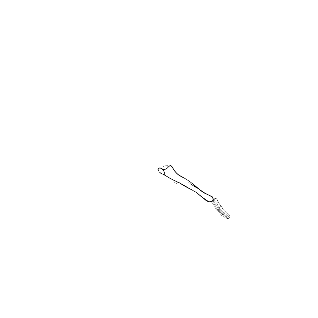 Dem bones dem bones dem – dry bones!