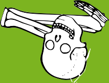 Dem bones dem bones dem – dry bones!