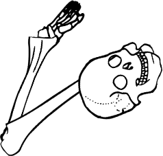 Dem bones dem bones dem – dry bones! Dem bones dem bones dem – extra bones!