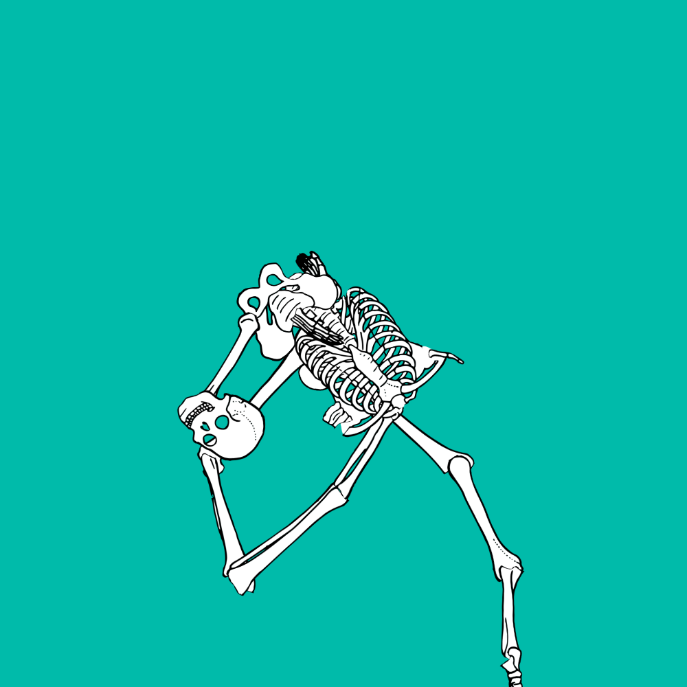 Dem bones dem bones dem – dry bones! Dem bones dem bones dem – extra bones!