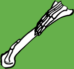 Dem bones dem bones dem – dry bones!