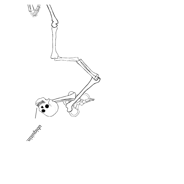 Dem bones dem bones dem – dry bones!