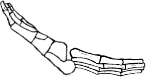 Dem bones dem bones dem – dry bones!