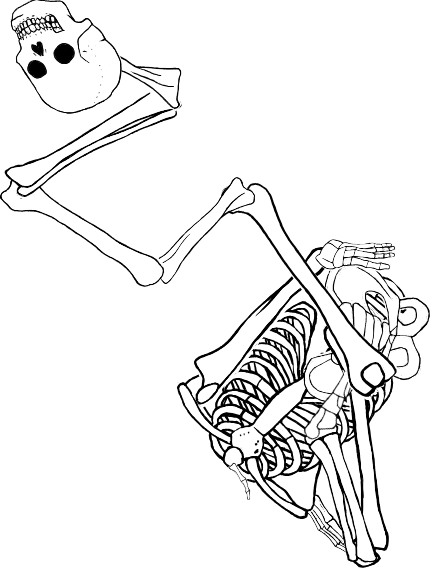 Dem bones dem bones dem – dry bones!
