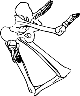 Dem bones dem bones dem – dry bones!