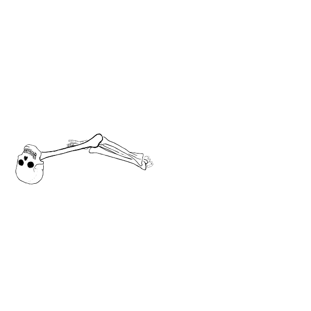 Dem bones dem bones dem – dry bones!
