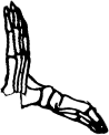 Dem bones dem bones dem – dry bones!