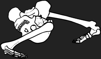 Dem bones dem bones dem – dry bones!