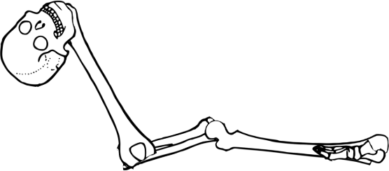 Dem bones dem bones dem – dry bones!