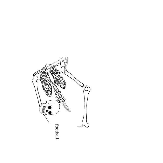 Dem bones dem bones dem – dry bones!