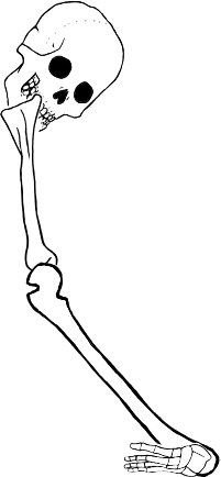 Dem bones dem bones dem – dry bones!