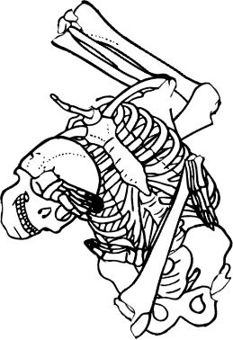 Dem bones dem bones dem – dry bones!