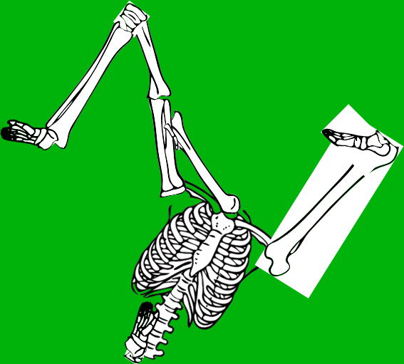 Dem bones dem bones dem – dry bones!