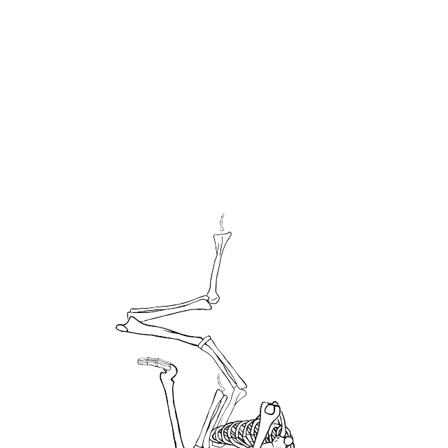 Dem bones dem bones dem – dry bones!