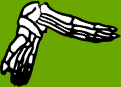 Dem bones dem bones dem – dry bones!
