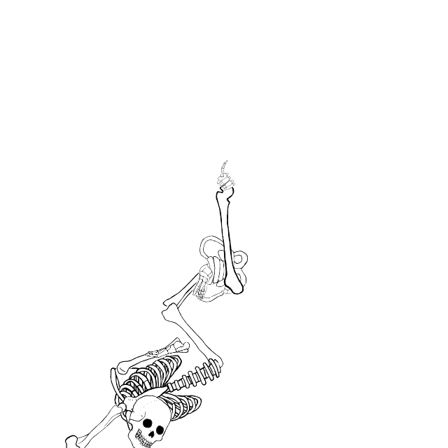 Dem bones dem bones dem – dry bones!