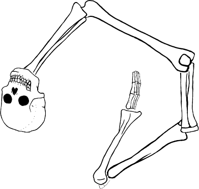 Dem bones dem bones dem – dry bones!