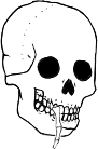 Dem bones dem bones dem – dry bones!