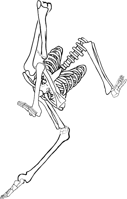 Dem bones dem bones dem – dry bones!