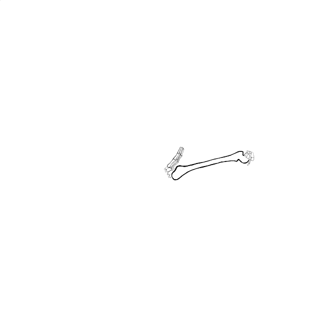 Dem bones dem bones dem – dry bones!