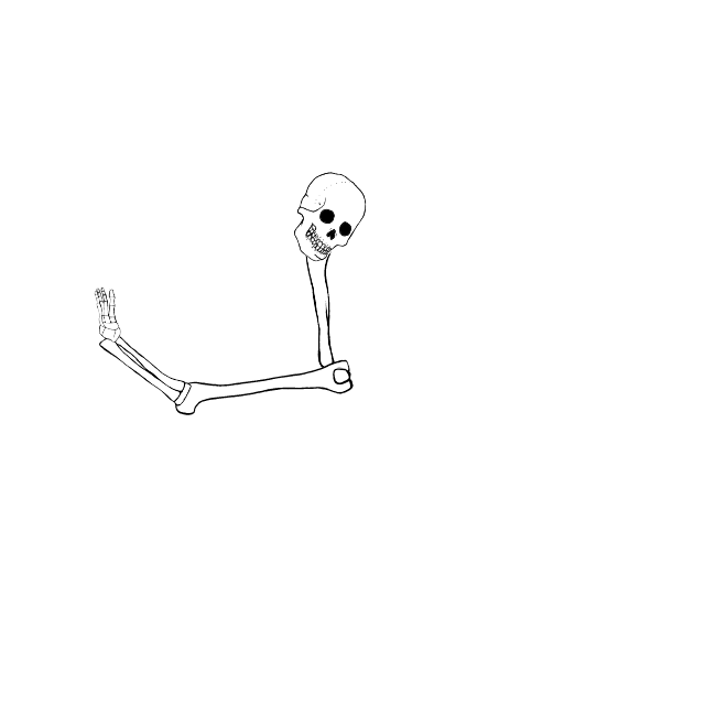 Dem bones dem bones dem – dry bones!