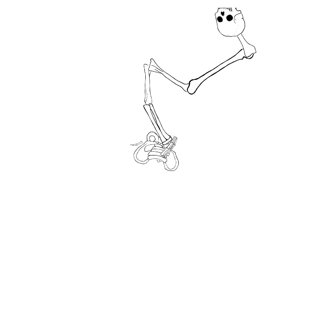 Dem bones dem bones dem – dry bones!