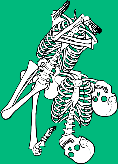 Dem bones dem bones dem – dry bones! Dem bones dem bones dem – extra bones!