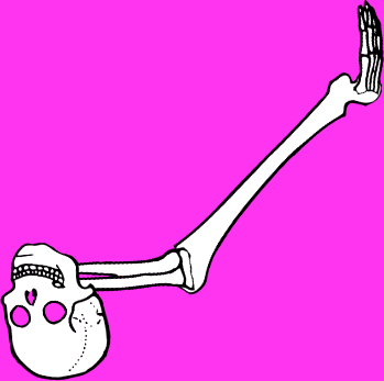 Dem bones dem bones dem – dry bones!