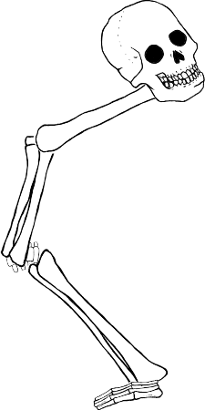 Dem bones dem bones dem – dry bones!