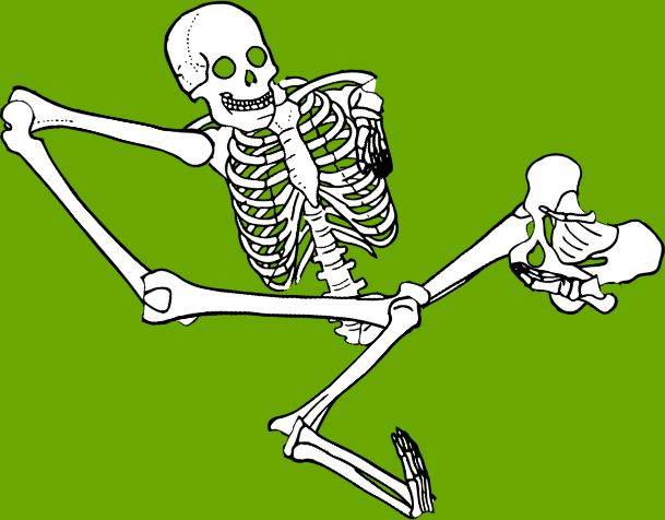 Dem bones dem bones dem – dry bones!