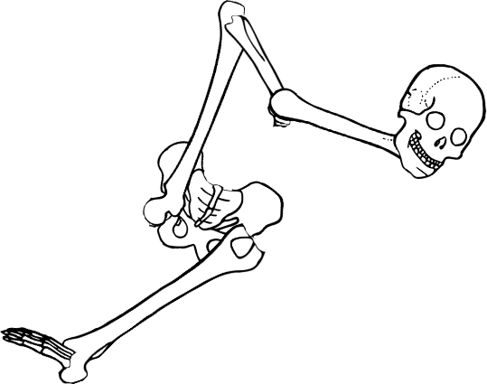 Dem bones dem bones dem – dry bones!