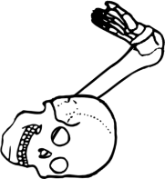 Dem bones dem bones dem – dry bones!