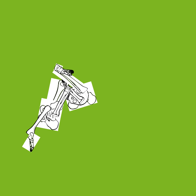 Dem bones dem bones dem – dry bones!