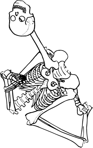 Dem bones dem bones dem – dry bones!