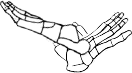 Dem bones dem bones dem – dry bones!