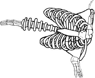 Dem bones dem bones dem – dry bones!