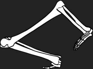 Dem bones dem bones dem – dry bones!