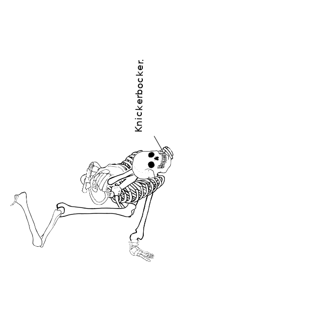 Dem bones dem bones dem – dry bones!