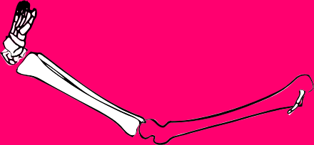 Dem bones dem bones dem – dry bones!
