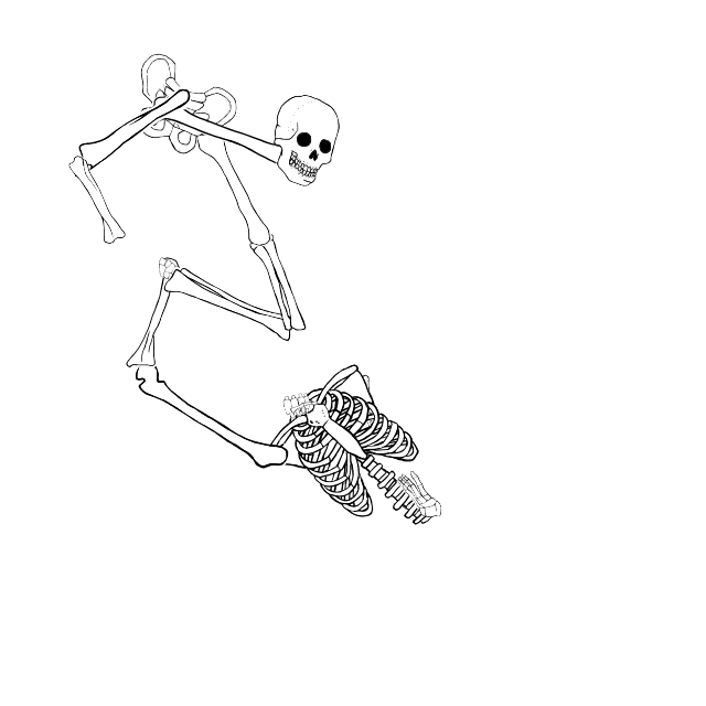 Dem bones dem bones dem – dry bones!