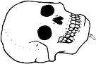 Dem bones dem bones dem – dry bones!